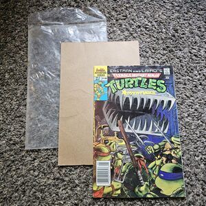 Teenage Mutant Ninja Turtles Adventures May 1989 #2 Eastman OG Newstand Issue